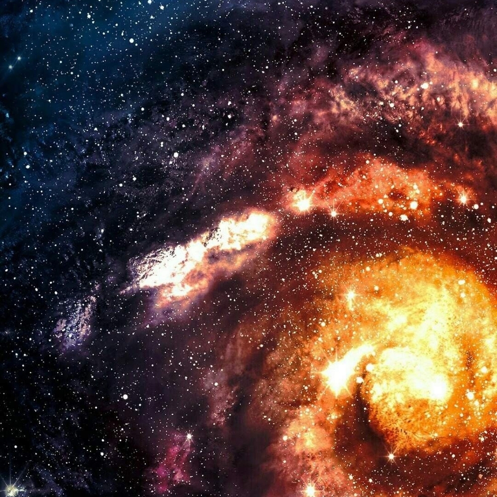 Meet your Posher, Jaysen